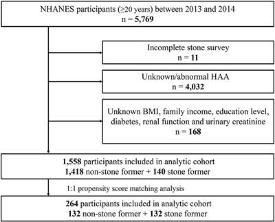 Heterocyclic Aromatic Amines and Risk of Kidney Stones: A Cross-Sectional Study in US Adults